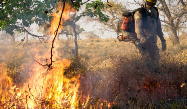 Corpo de Bombeiros lança Operação Cerrado Vivo 2025 com reforço no combate a incêndios em Goiás